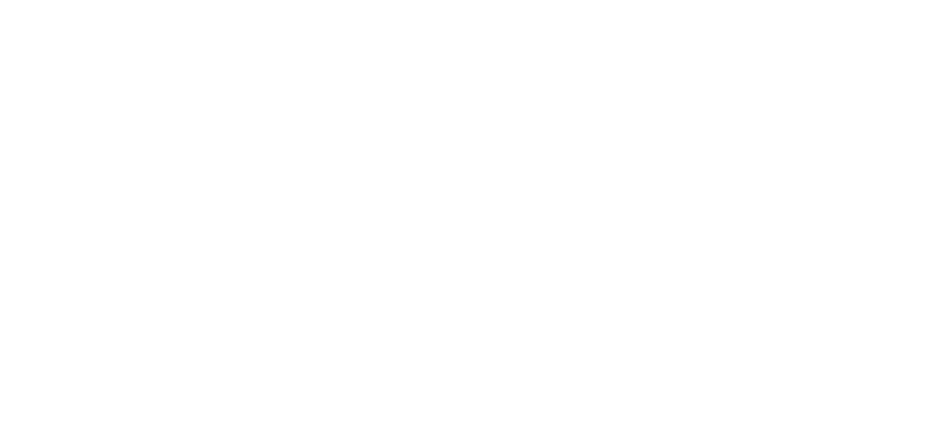 CSI SIES GST